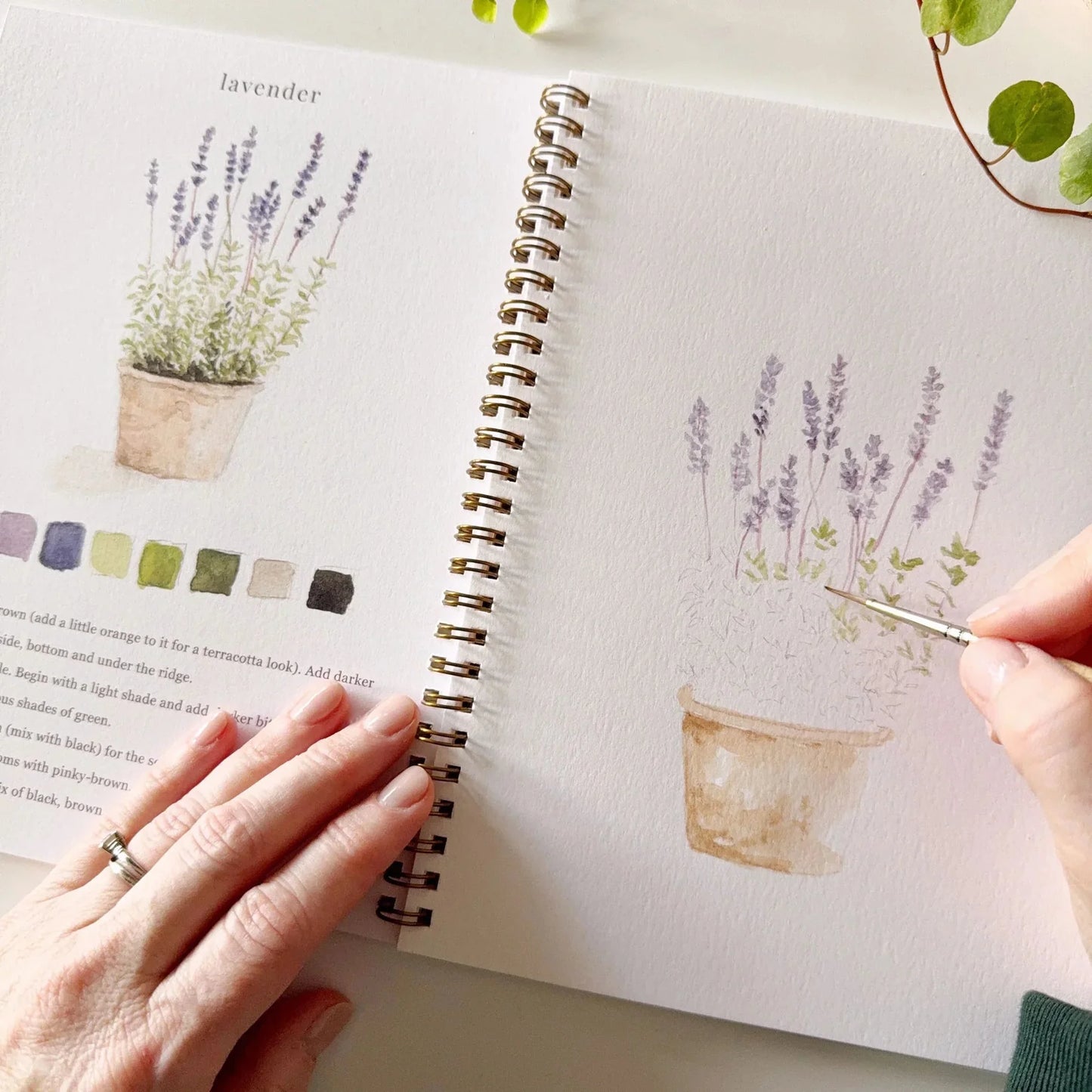 Garden Watercolor Workbook | Emily Lex Studios