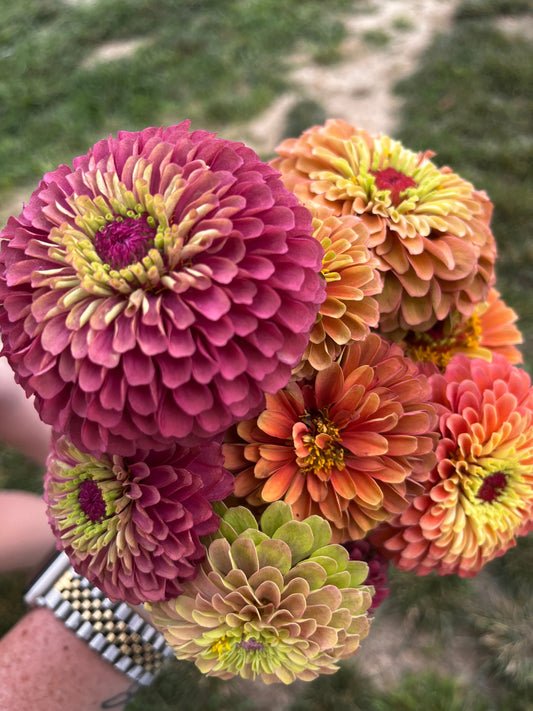 A Dream in Bloom: The Paintin' & Paintin' Party at First Love Farms