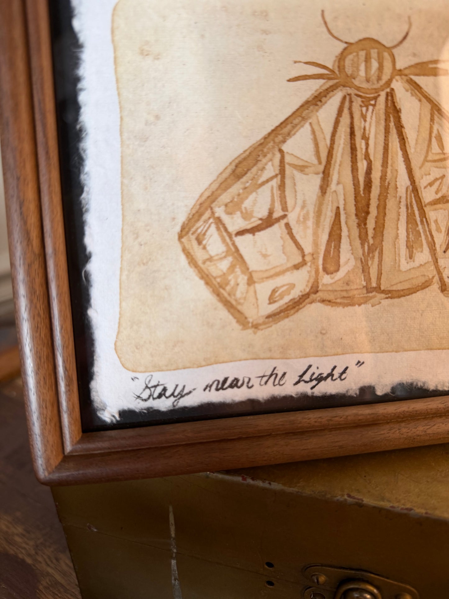 "Stay near the Light" | Moth | 4x6 Coffee Painting