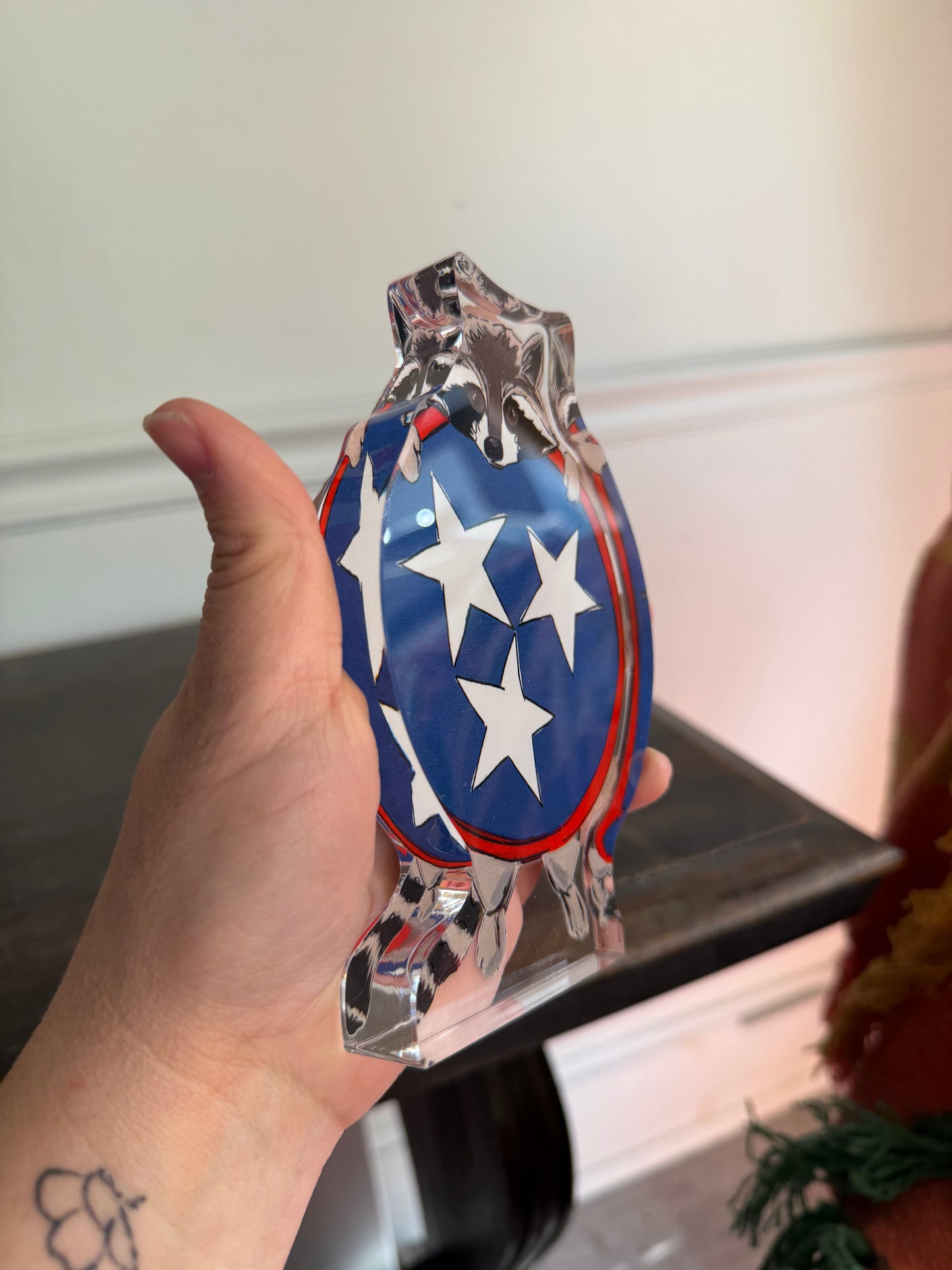 Tennessee Raccoon Acrylic Cutout