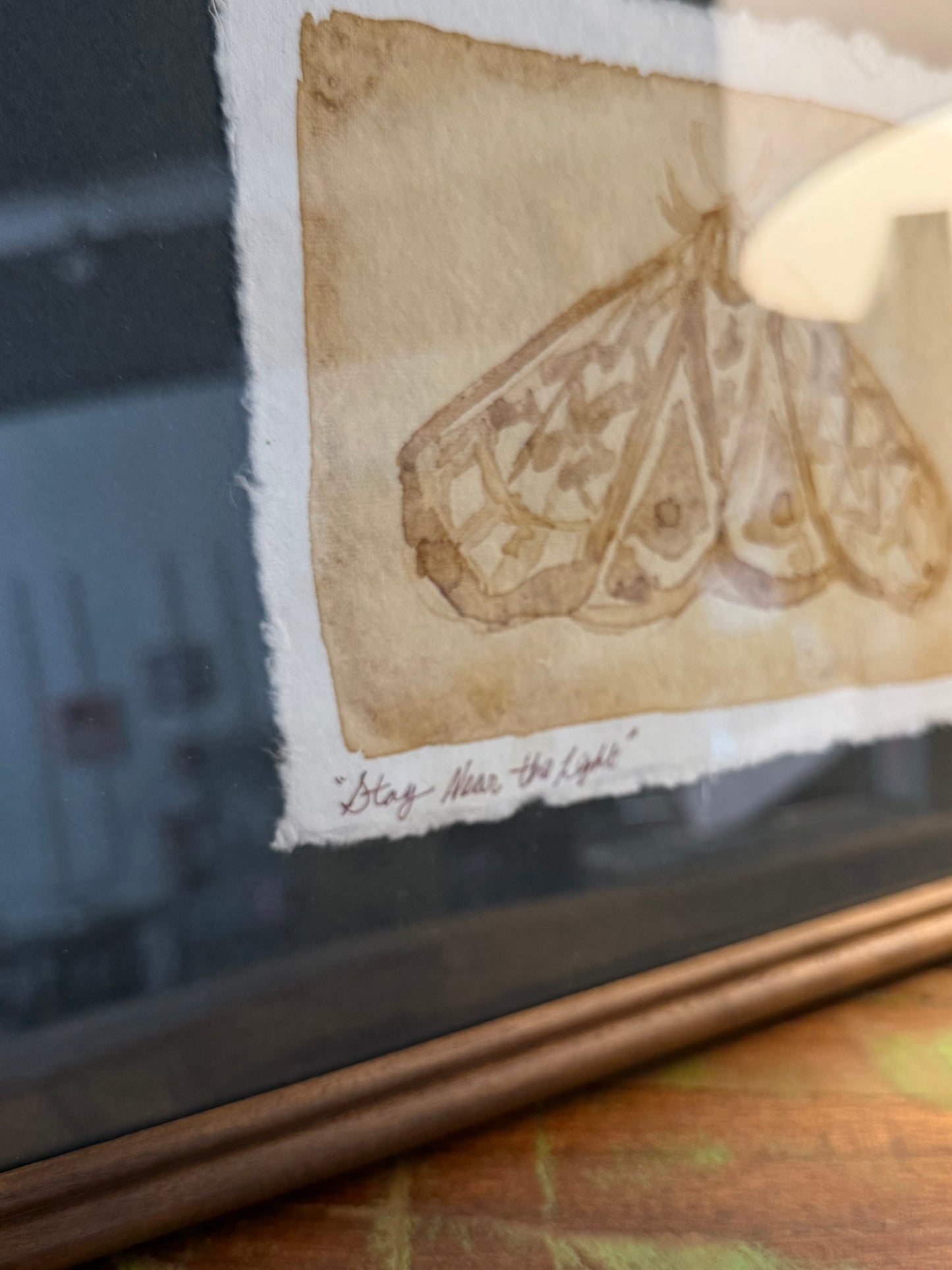 "Stay near the Light" | Moth | 5x7 Coffee Painting