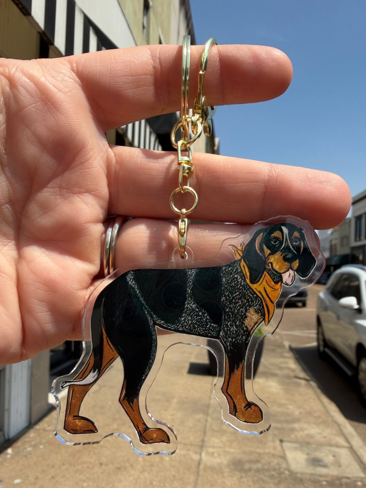 Tennessee Smokeshow Hound Dog keychain / bag tag