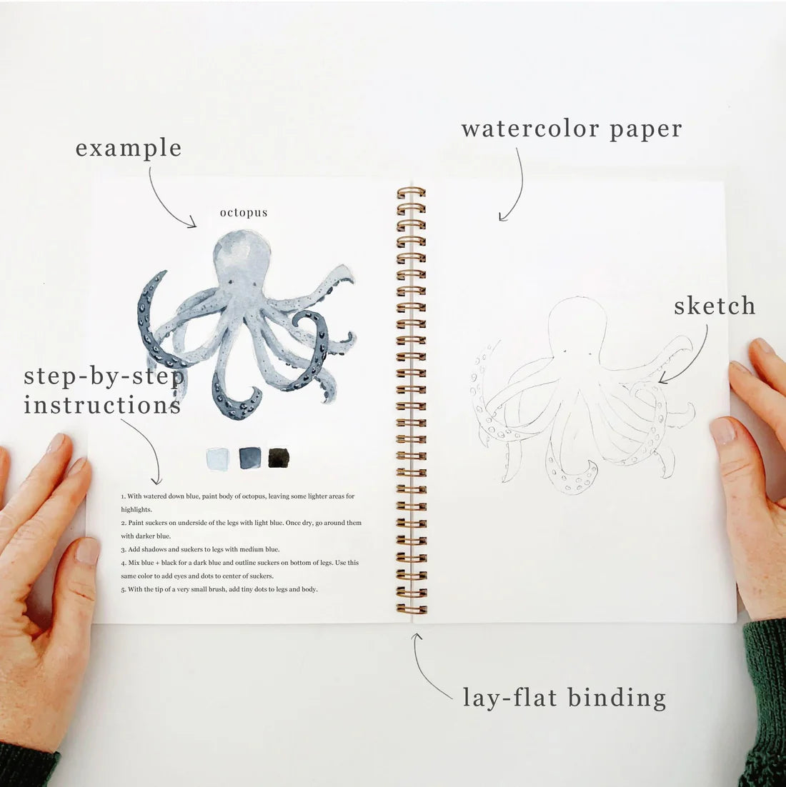 Seaside Watercolor Workbook | Emily Lex Studios