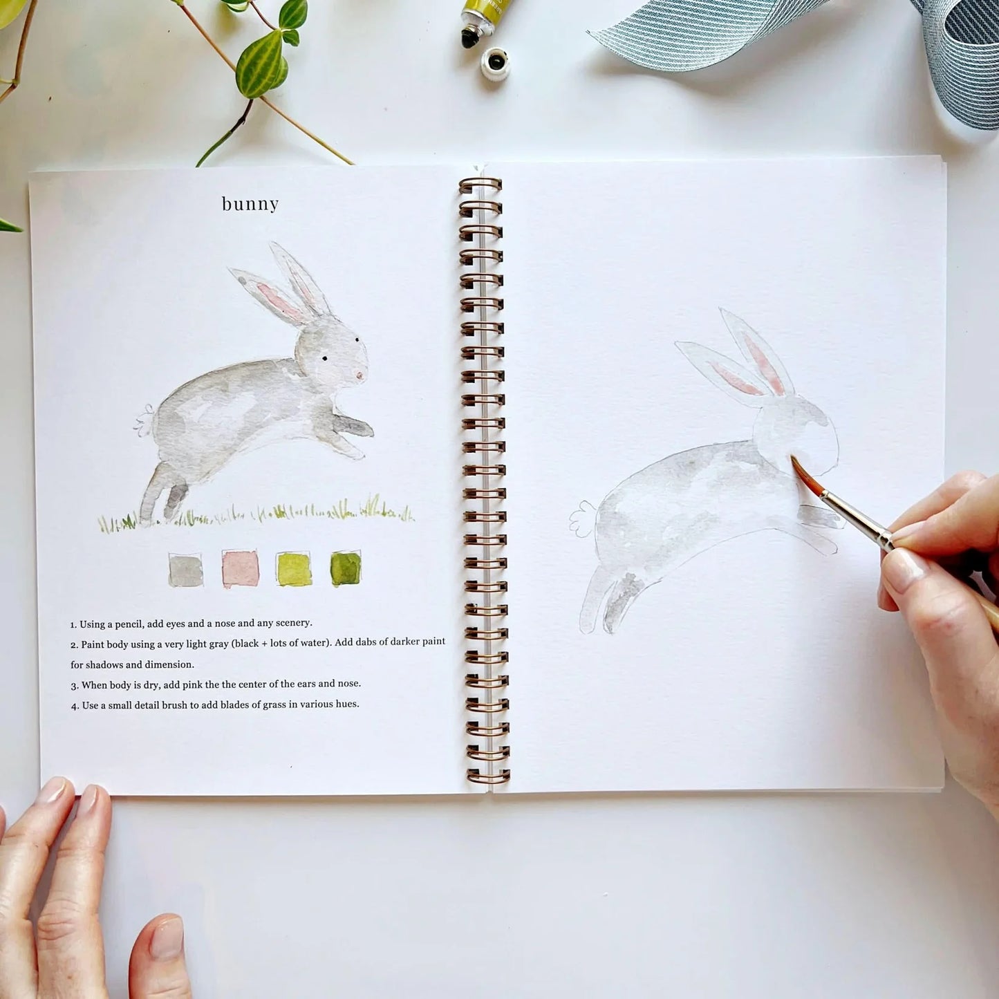 Animals Watercolor Workbook | Emily Lex Studios