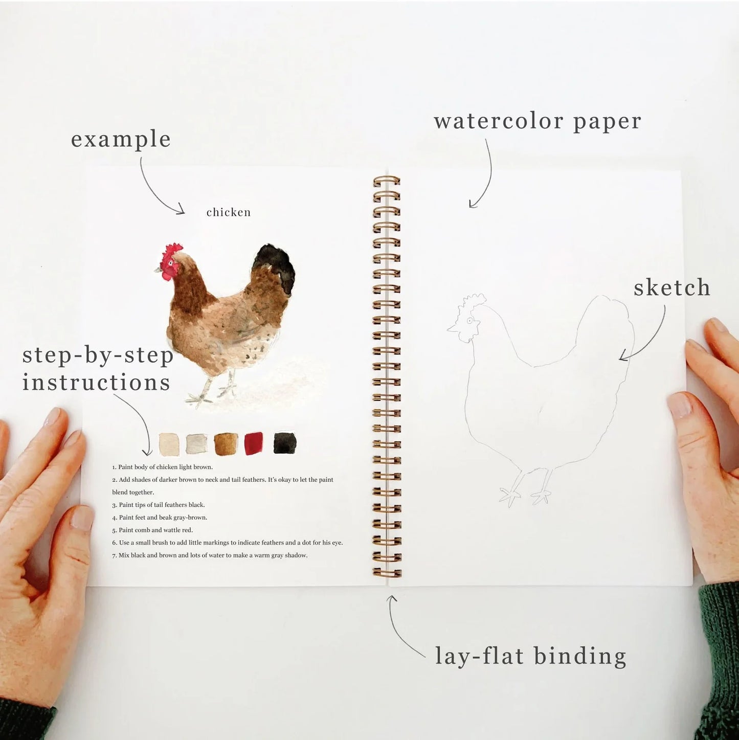Animals Watercolor Workbook | Emily Lex Studios