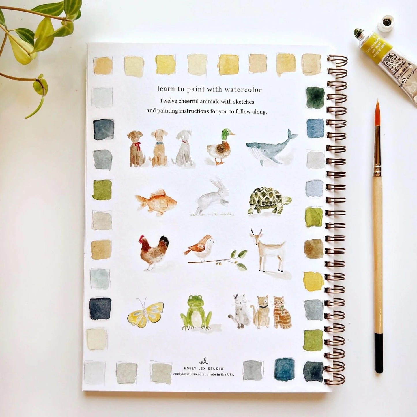 Animals Watercolor Workbook | Emily Lex Studios