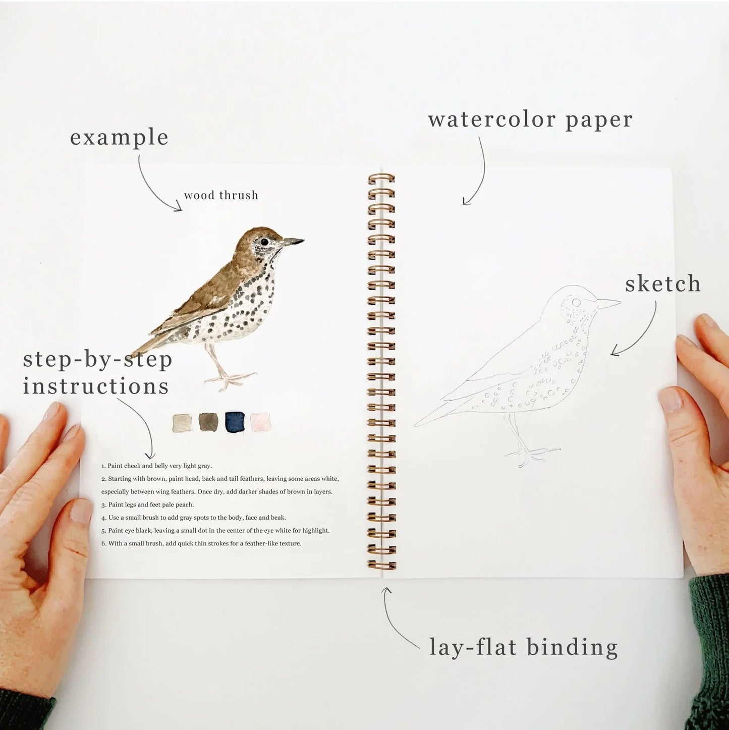 Birds Watercolor Workbook | Emily Lex Studios