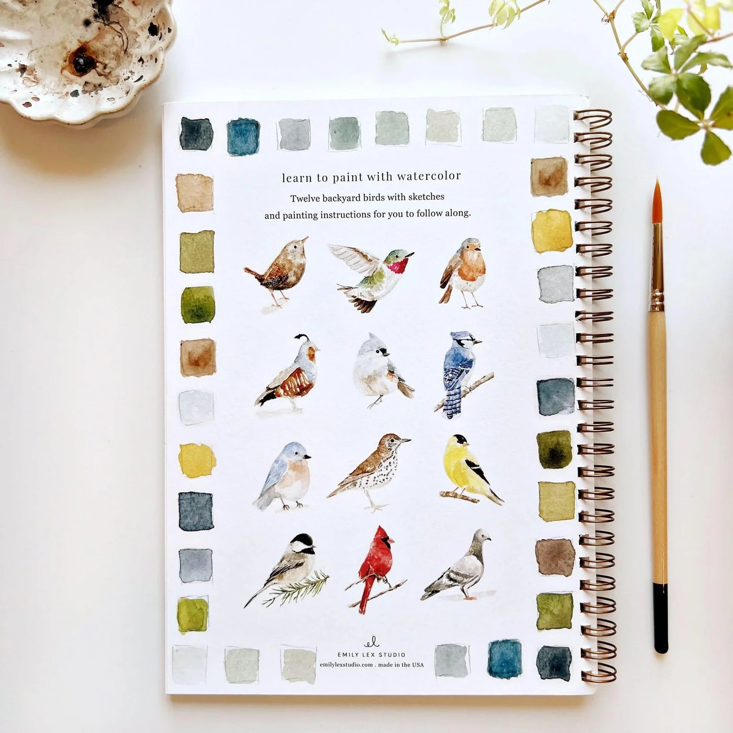 Birds Watercolor Workbook | Emily Lex Studios