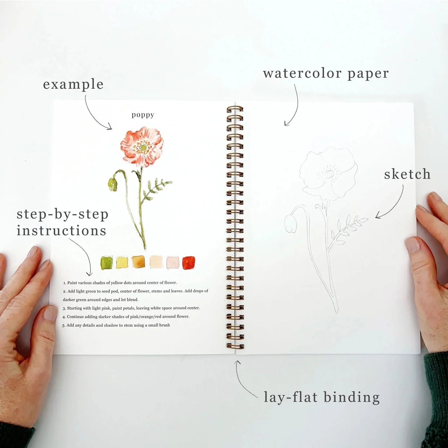 Flowers Watercolor Workbook | Emily Lex Studios