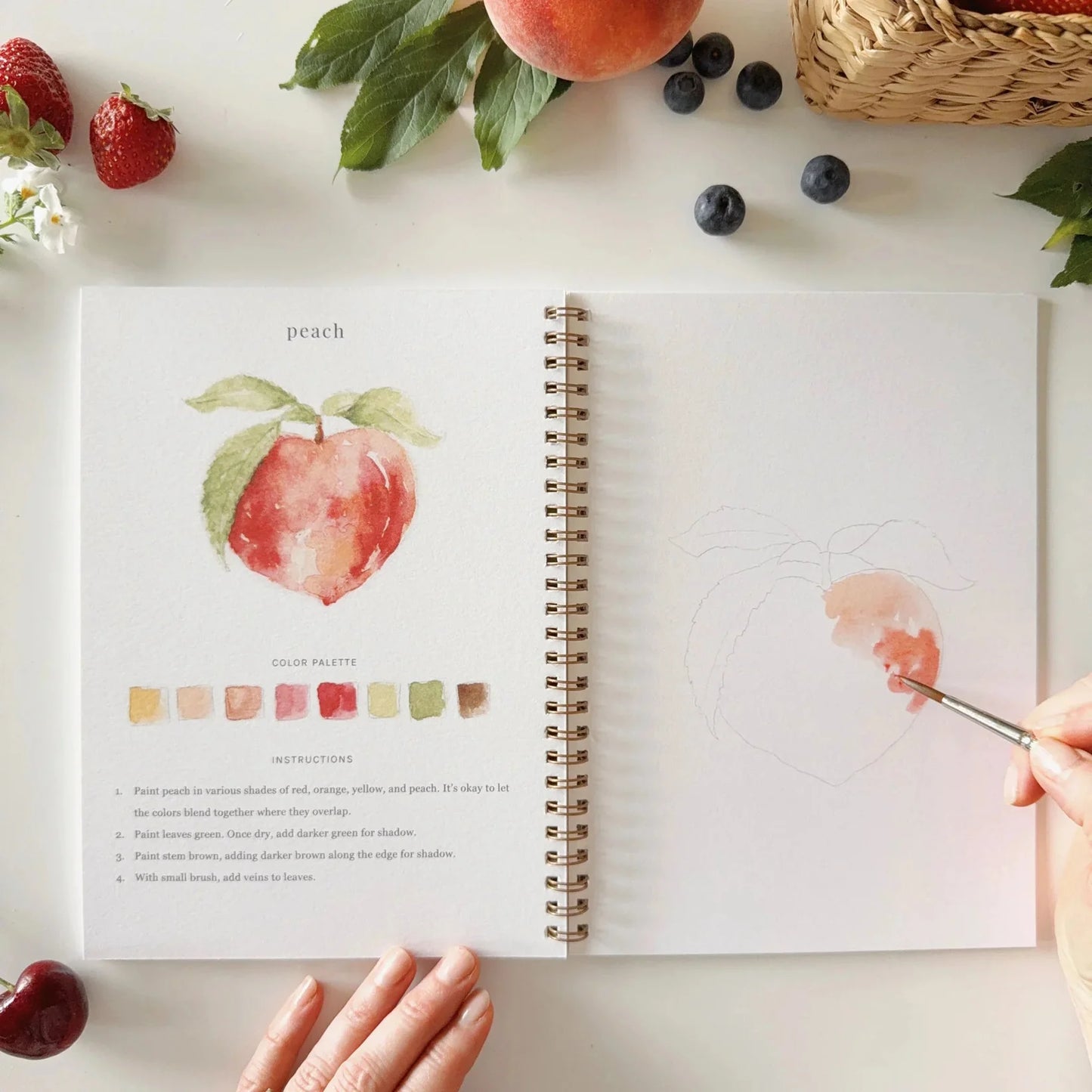 Fruit Watercolor Workbook | Emily Lex Studios